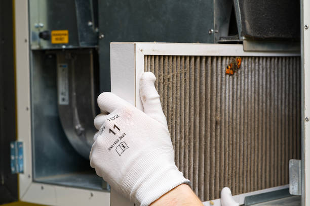 Best HVAC Duct Inspection Services  in Urania, LA