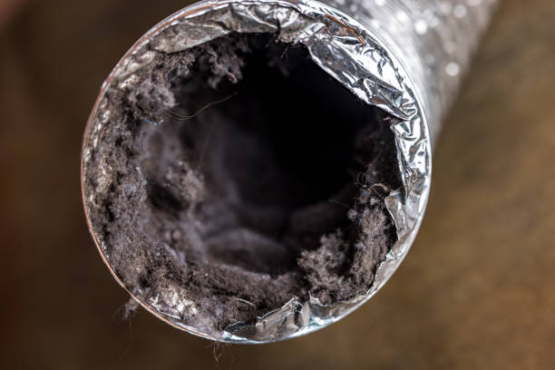 Best Residential Air Duct Cleaning  in Urania, LA