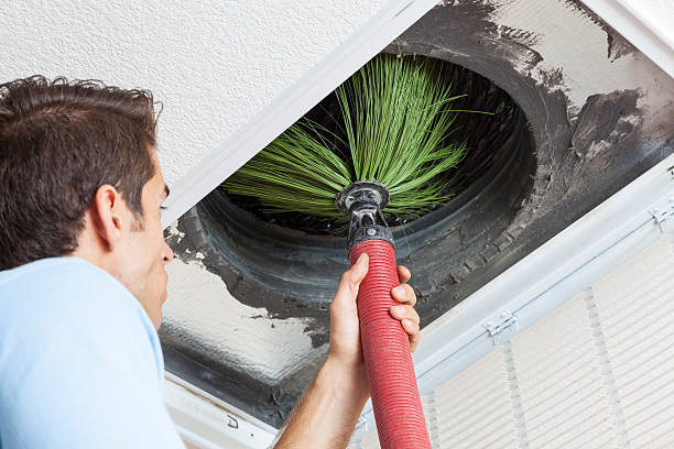 Best Home Air Vent Cleaning  in Urania, LA